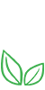 初步调查